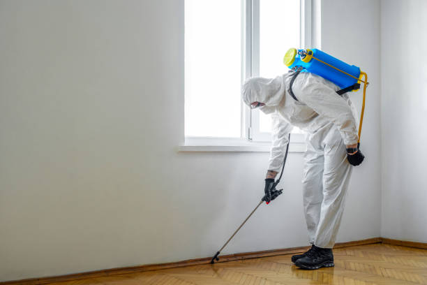 Best Pest Prevention Services  in Weimar, TX